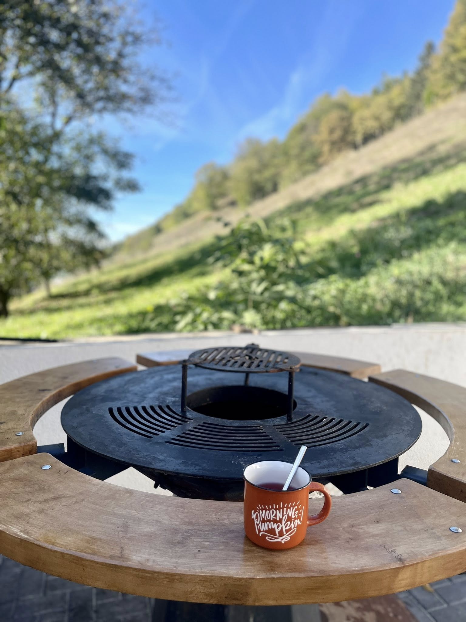 Cafea de dimineață la discul de grătar cu priveliște