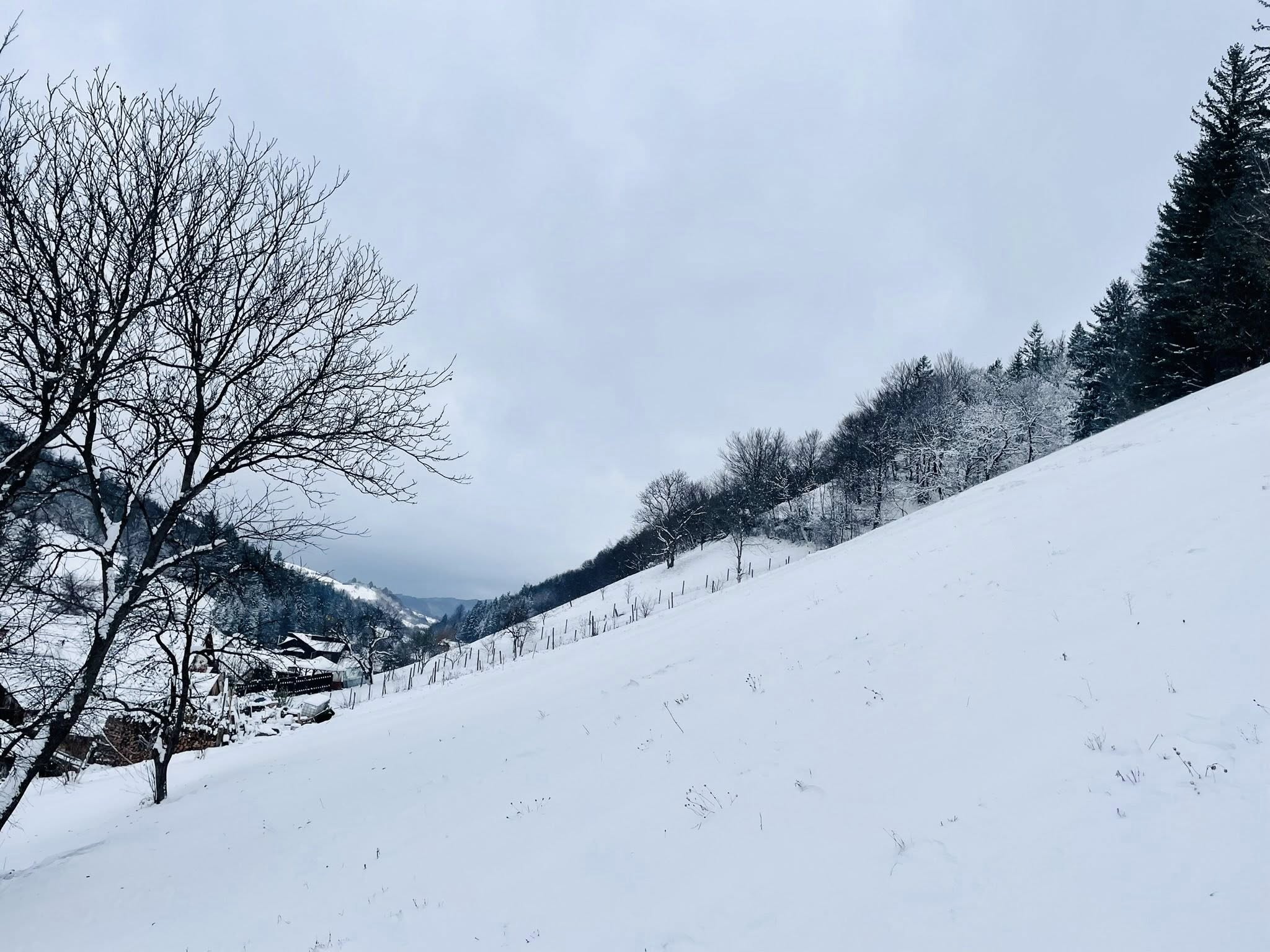 Iarnă la Holbav — peisaj alb cu păduri și sat